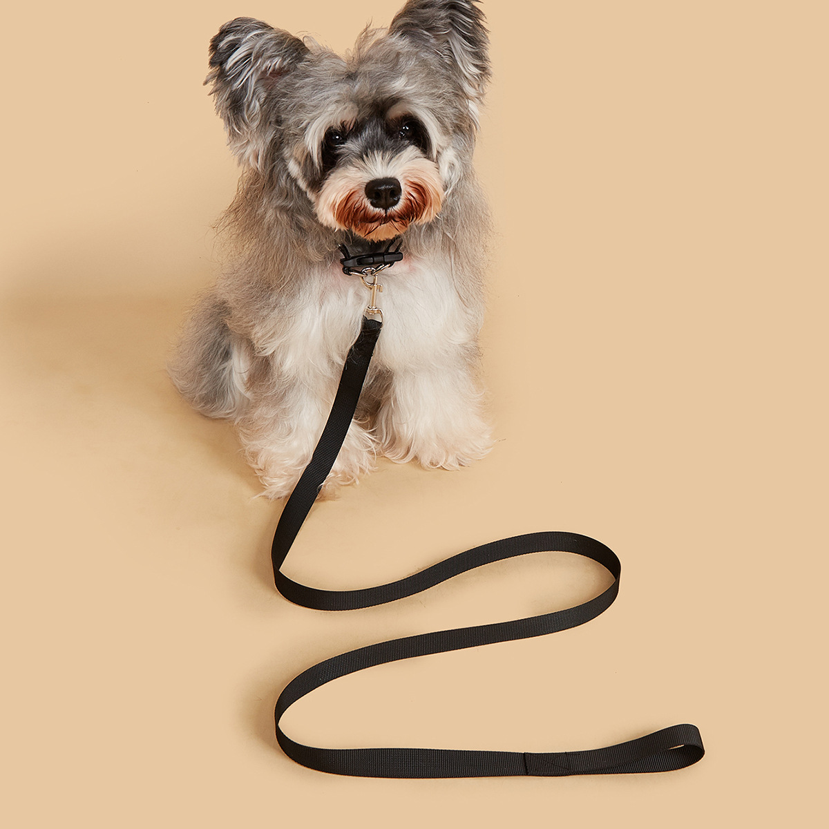 ชุดสายจูงและปลอกคอสำหรับสัตว์เ - Headcollar Rope Set บทวิจารณ์และราคา